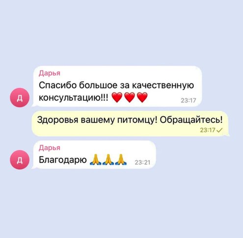 Отзыв владельца питомца о консультации ветеринара PetyPat