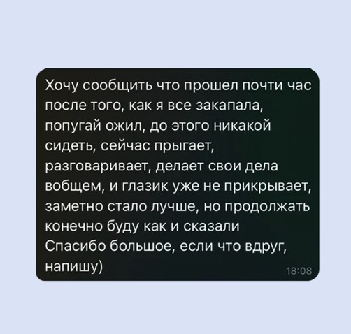 Отзыв владельца питомца о консультации ветеринара PetyPat