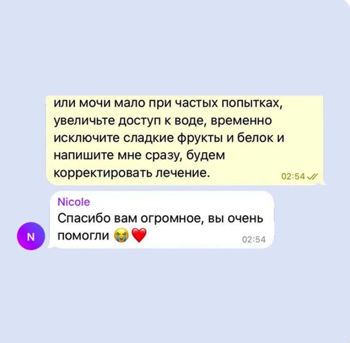 Отзыв владельца питомца о консультации ветеринара PetyPat